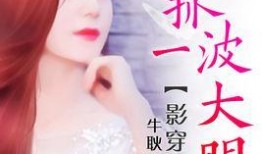 明星小说,明星小说中的璀璨人生