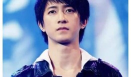 朝阳黑料,揭开真相背后的迷雾